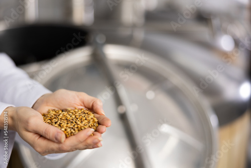 Hands of brewmaster holding bunch of malt seeds. Making of beer concept.