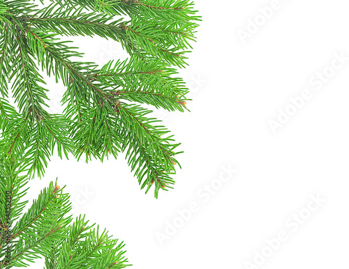 Christmas green framework isolated on a white background. Green pine tree branches.