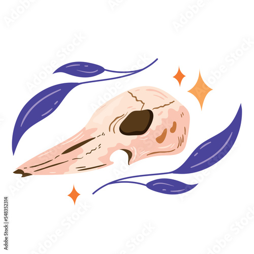 animal skull Boho style