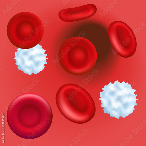 Red and white blood cells in a vein. Healthy human blood under microscope. An increase in platelets in the blood plasma. 3d illustration. Vector illustration EPS 10
