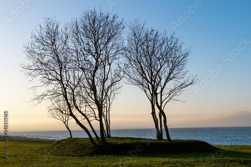 Fototapeta Naklejka Na Ścianę i Meble -  Coast of the Baltic Sea in the autumn evening. Sunset and bare trees