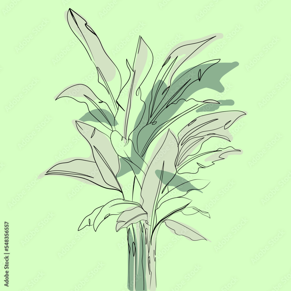 Obraz premium ONE LINE, THREE COLORS OF BANANA TREES FOR A TROPICAL THEME DESIGN