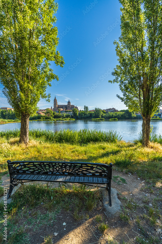 View of the cathedral of Salamanca on the banks of the Tormes river, in Spain. View of the cathedral of Salamanca on the banks of the Tormes river, in Spain.