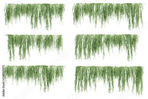 Fototapeta 3D illustration of a set of creeper plants, hanging from the top