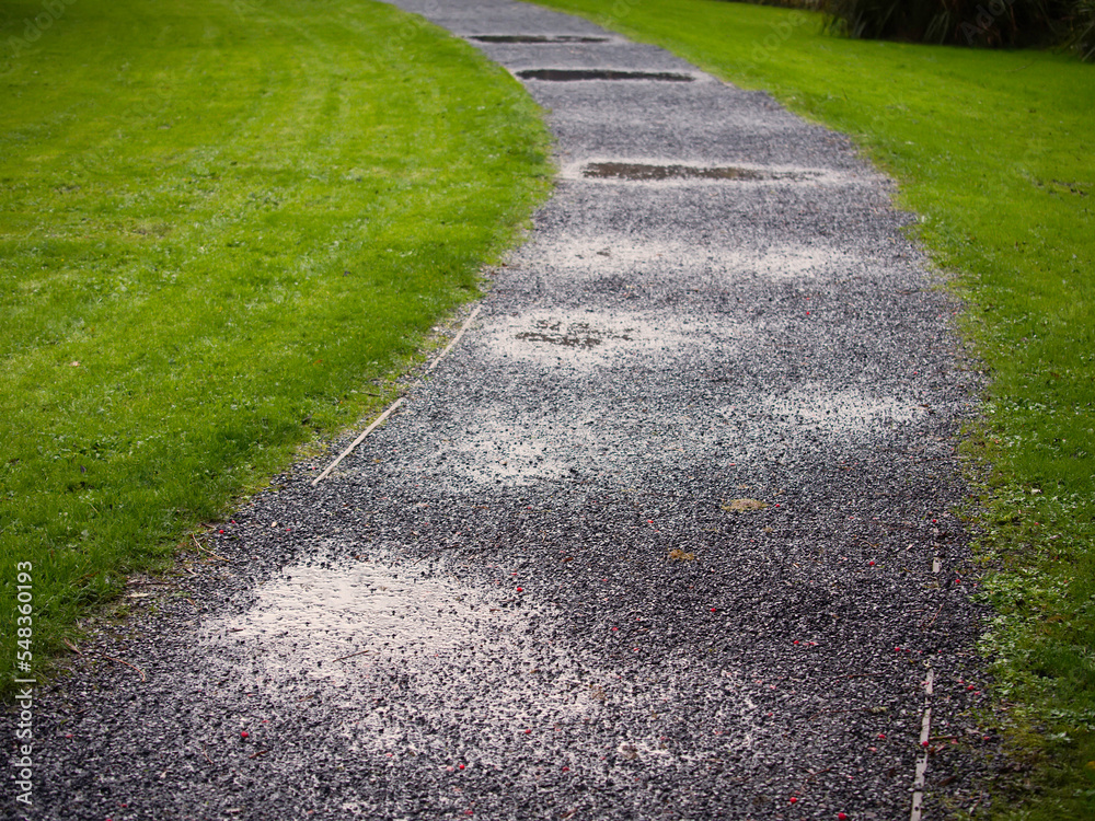 Walking footpath with puddles after rain in a park with rich green grass and trees. Fall autumn season concept. Walking footpath with puddles after rain in a park with rich green grass and trees. Fall autumn season concept.