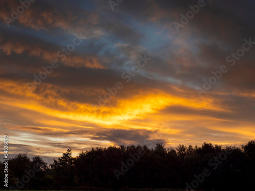 Rich sunset sky over trees silhouette. Beautiful nature scene. Nobody.