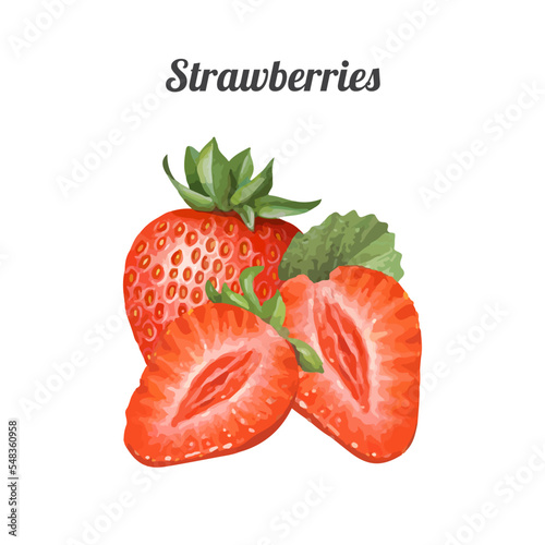 Hand drawn watercolor painting strawberry on white background. Vector illustration of berries
