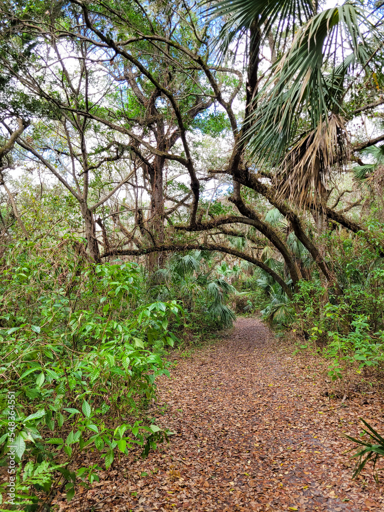 Fototapeta premium Trails filled with serenity found in nature