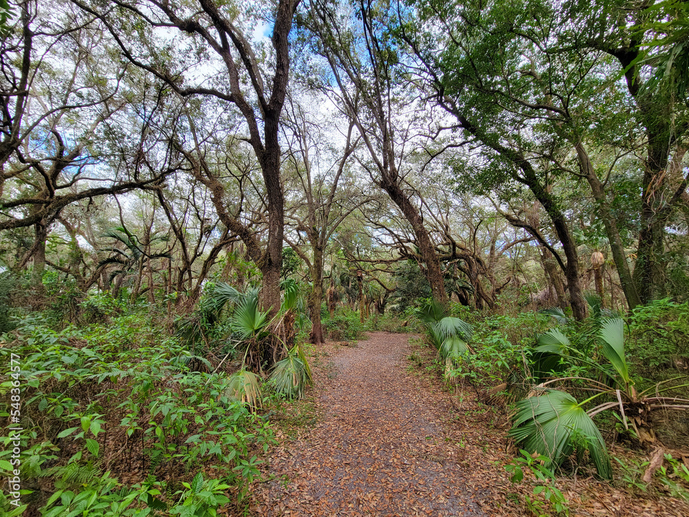 Fototapeta premium Trails filled with serenity found in nature