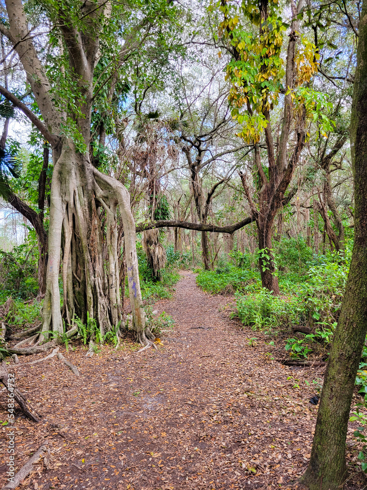 Trails filled with serenity found in nature Trails filled with serenity found in nature