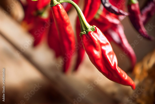 red chili peppers on a wooden background photo