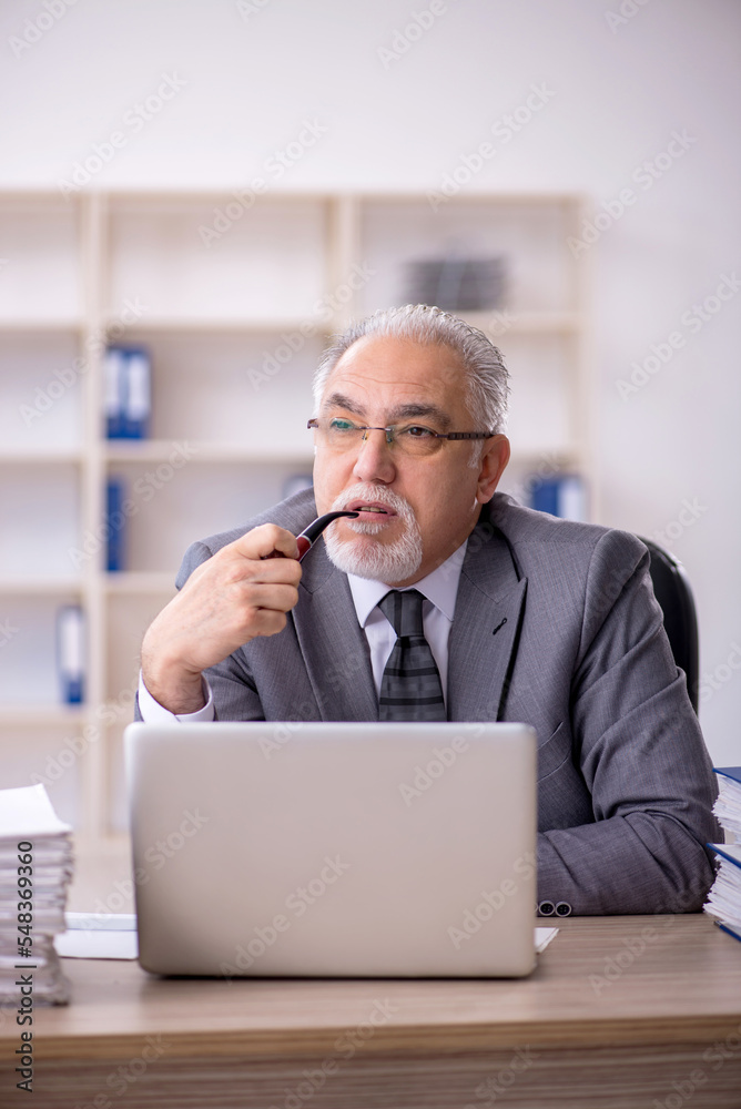 Old male employee working in the office Old male employee working in the office