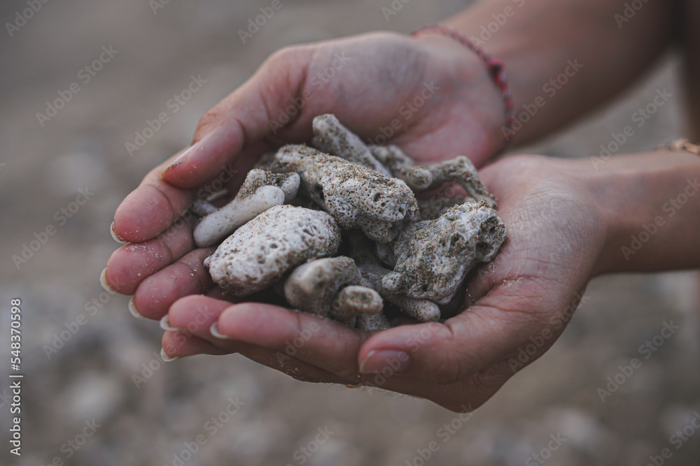 hand holding soil hand holding soil
