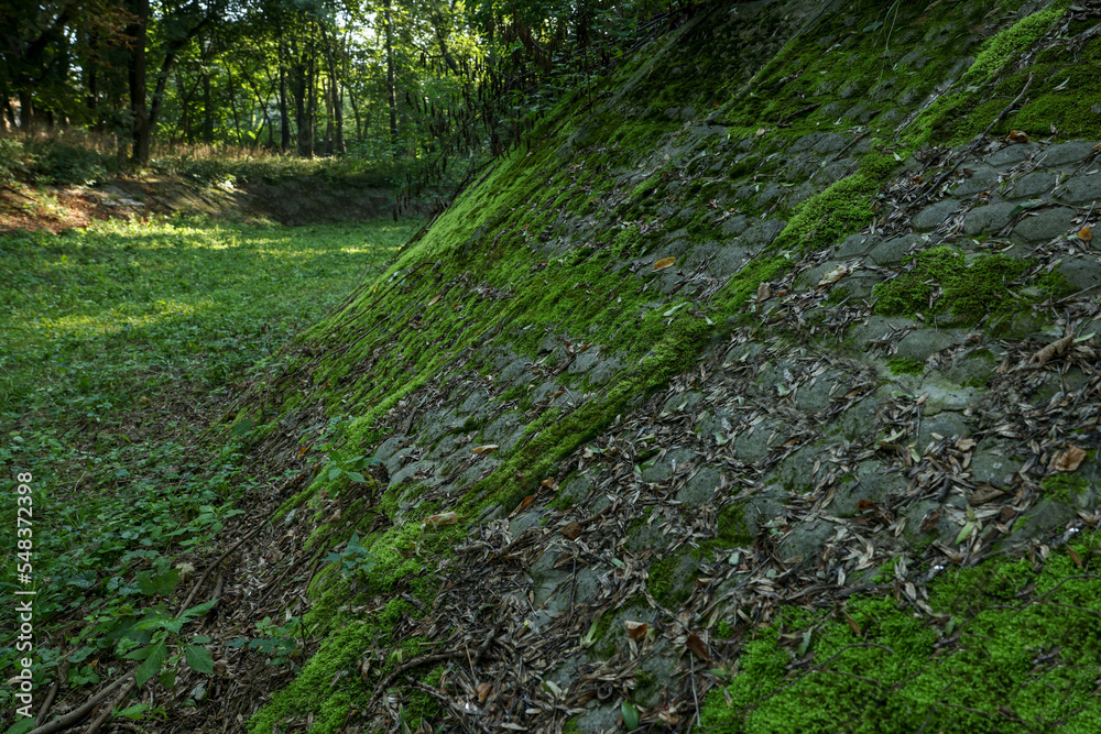 Stone wall overgrown with green moss outdoors Stone wall overgrown with green moss outdoors