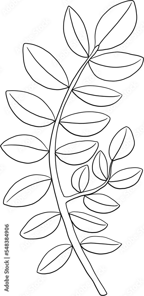 simplicity floral freehand drawing simplicity floral freehand drawing