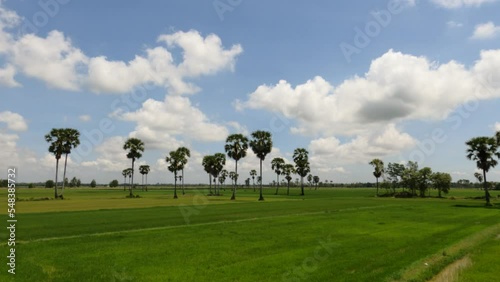 landscape with trees and clouds