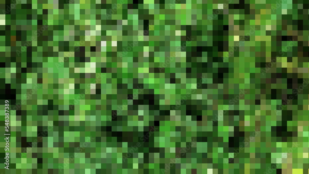 Ornamental shrubs, wall shrubs grass plants, with green leaf texture. Ornamental shrubs, wall shrubs grass plants, with green leaf texture.