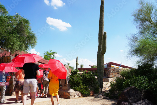 red umbrellas at Taliesin  photo