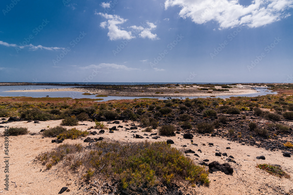 Blue lagoon with yellow, green to dark green plants and rocks surrounded by light colored sands