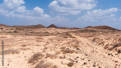 Desert island with dry bushes and volcanic rocks and hills