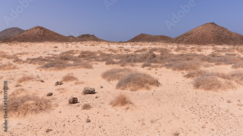 Light desert surface with some dry plants and volcanic hills in distance, Lobos Island