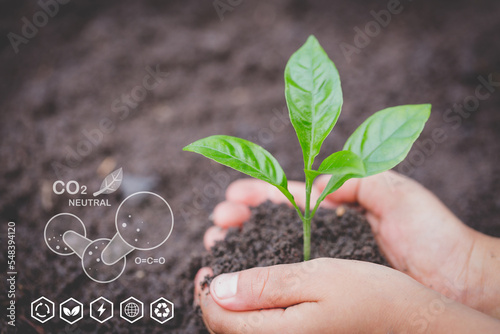 Technology environment, Hand planting trees with technology of renewable resources to reduce pollution ESG icon concept in hand for environmental, social and sustainable business governance.