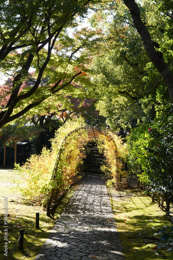 萩のトンネル