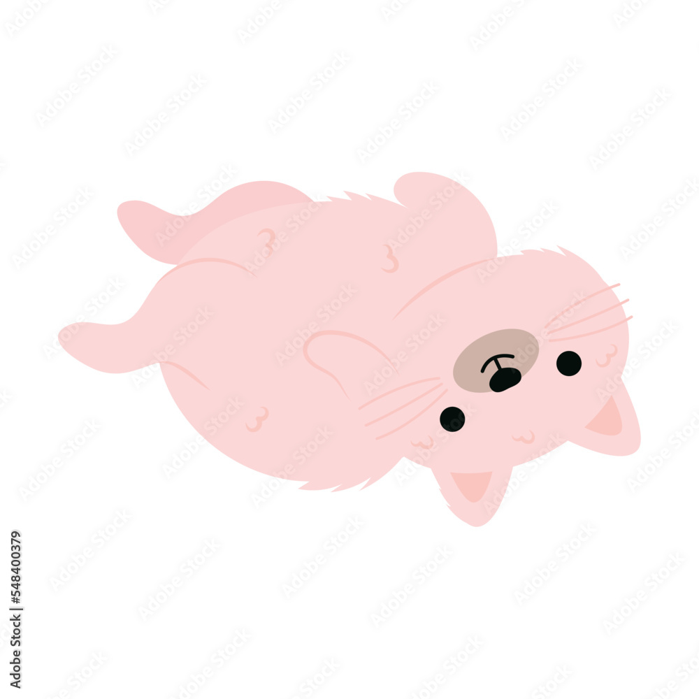 pink cute cat pink cute cat
