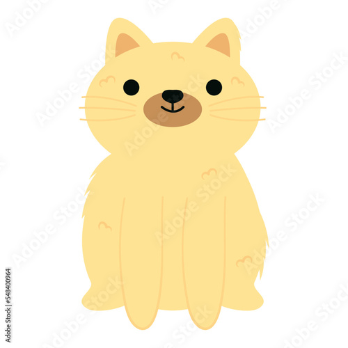 yellow cat icon