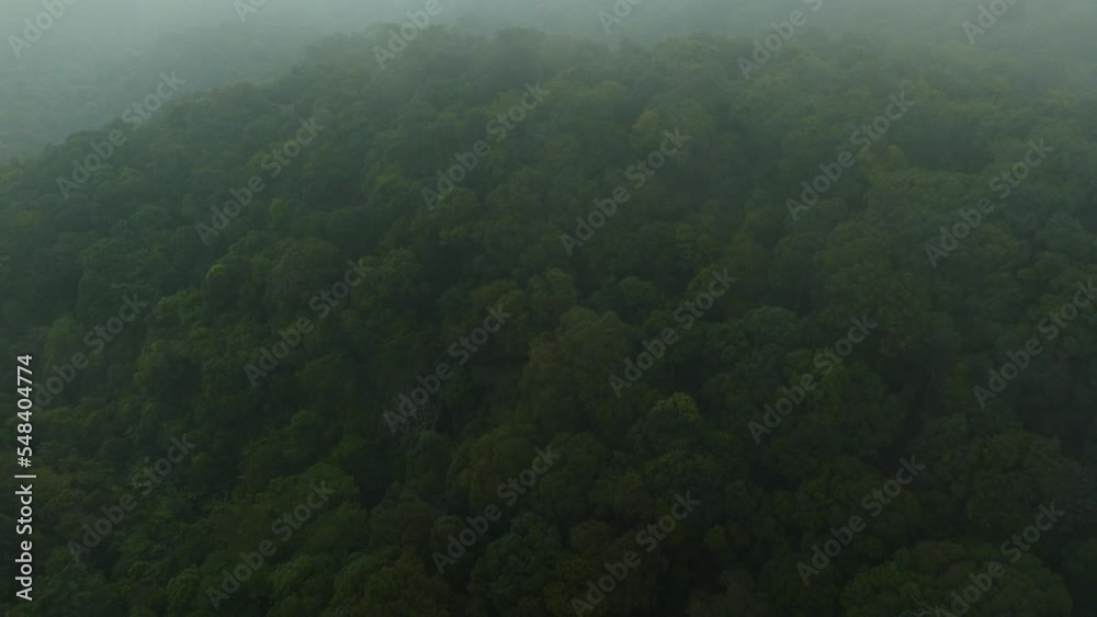 Aerial cloud forest shot, drone flights close to the forest canopy passing trough clouds while it tilts the camera down creating the Impresion of getting closer, Don Suthep, Chiang Mai Thailand