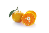 raw fresh tangerine oranges isolated on a white background