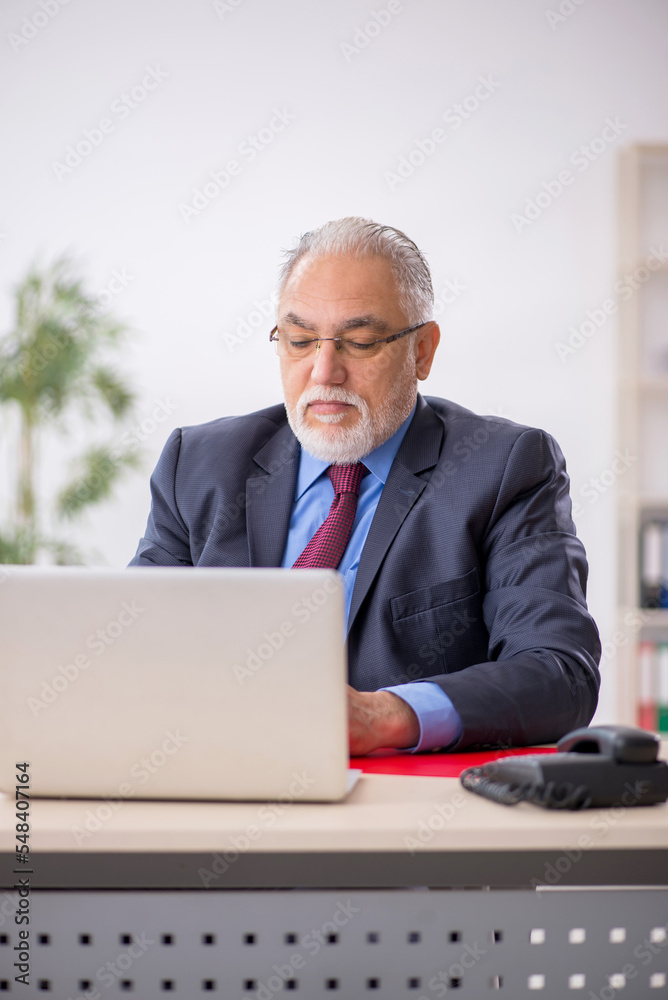 Old male boss working in the office Old male boss working in the office