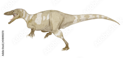 オルコラプトルはアルゼンチンの白亜紀の地層から発見された化石に基づく。6メートルから8メートル程度の中型の獣脚類である。特徴的にはコエルロサウルス類に分類されたが、現在はメガラプトル類に分類され、鉤爪は後肢ではなく、前肢のものとされている。化石の発見場所はパタゴニア南部であり、南アフリカ大陸で発見された獣脚類恐竜では最も南の恐竜として知られる。