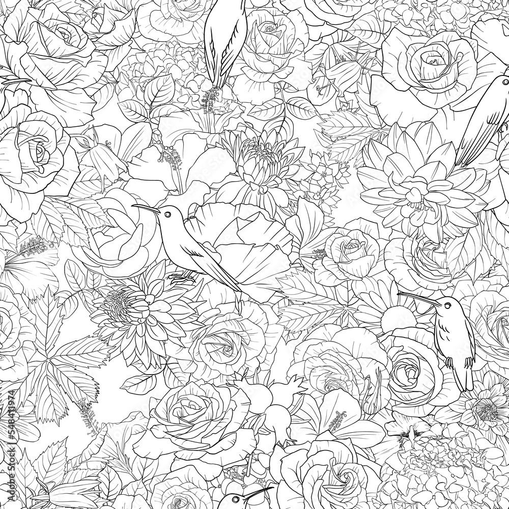 vector drawing natural background with hummingbirds and flowers, black and white seamless pattern, hand drawn illustration