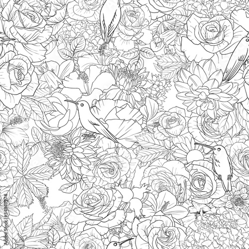vector drawing natural background with hummingbirds and flowers, black and white seamless pattern, hand drawn illustration