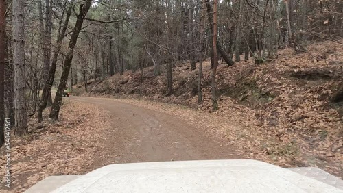 video filmed from inside a white land rover defender on a dirt road in the middle of the forest in autumn, with the dry leaves fallen from the trees, below on the sides, in front of a neon green suzuk photo