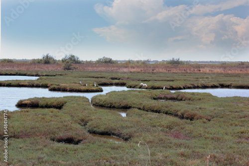 Delta Evros National Park, Evros Thraki Greece