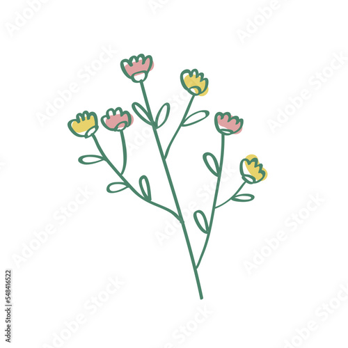 Floral Flower Vector Set Illustration