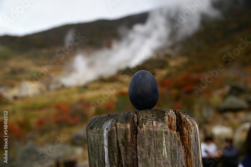 箱根の大涌谷の温泉卵
