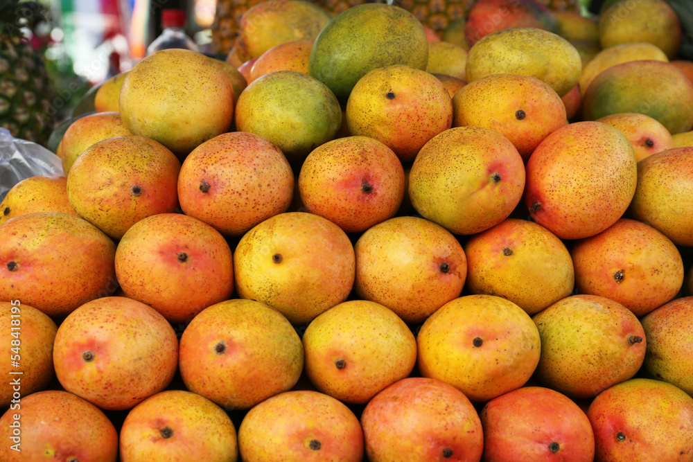 Pile of delicious ripe yellow mangoes, closeup Pile of delicious ripe yellow mangoes, closeup
