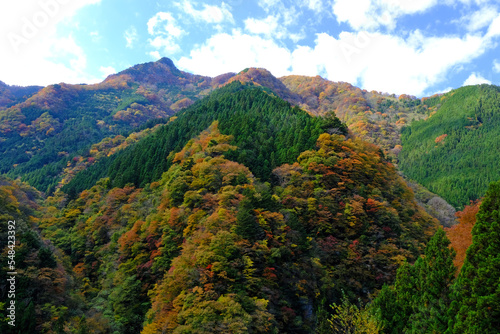 秩父市大滝の大血川の渓流からの紅葉に染まる山々を望む