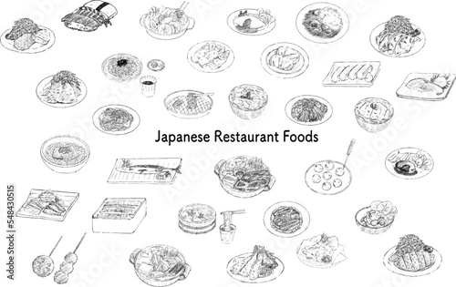 Japanese foods various illustration set