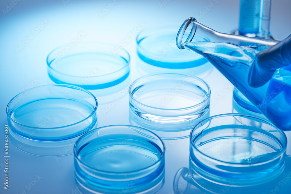 laboratory experiment laboratory experiment