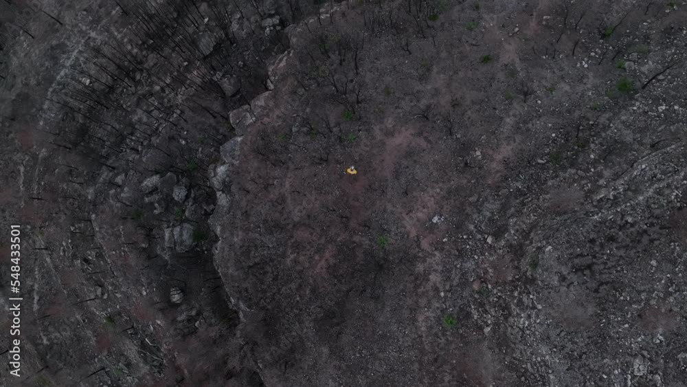 Person Walking Through Remains Of A Burnt Forest In El Pont de Vilomara, Spain - aerial top down Person Walking Through Remains Of A Burnt Forest In El Pont de Vilomara, Spain - aerial top down