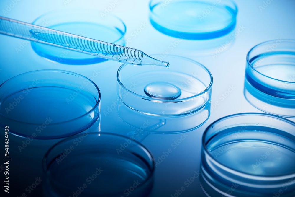 laboratory experiment laboratory experiment