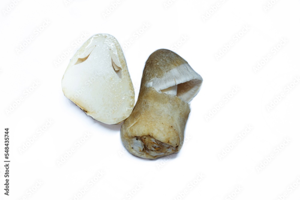 Straw mushrooms, halved and whole, on a white background