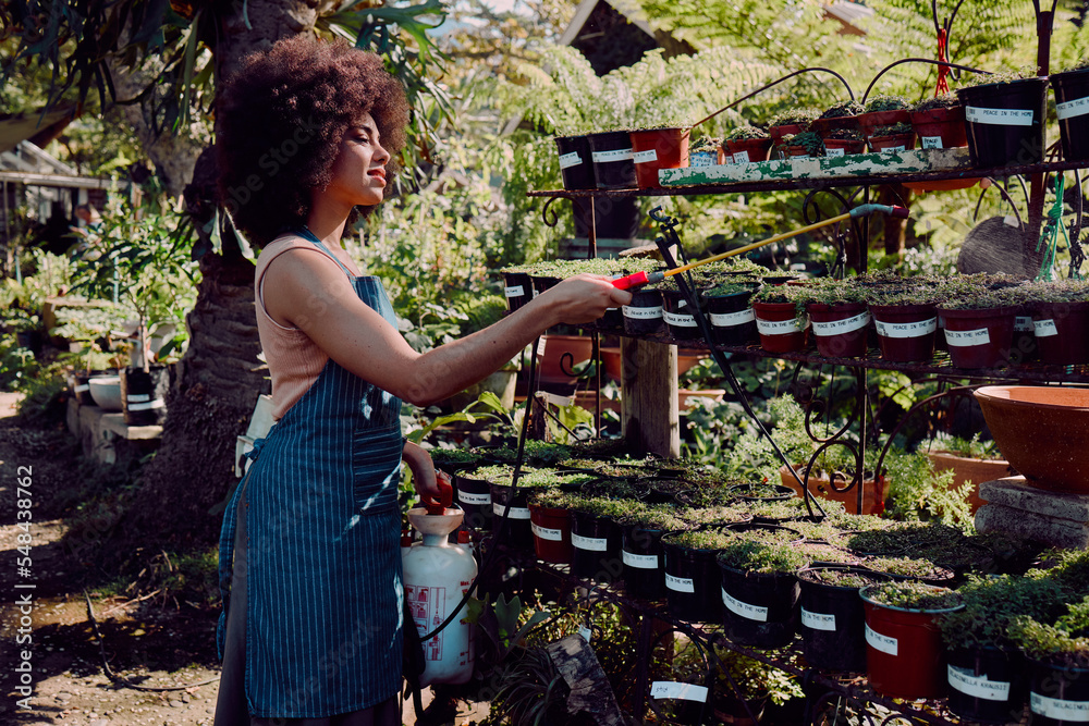 Black woman, garden and spray pesticide for plants, vegetation and