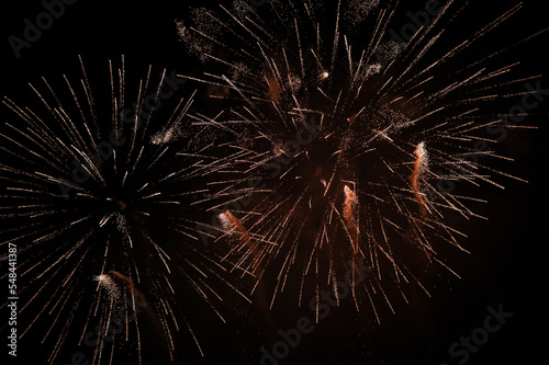 fireworks in the night sky