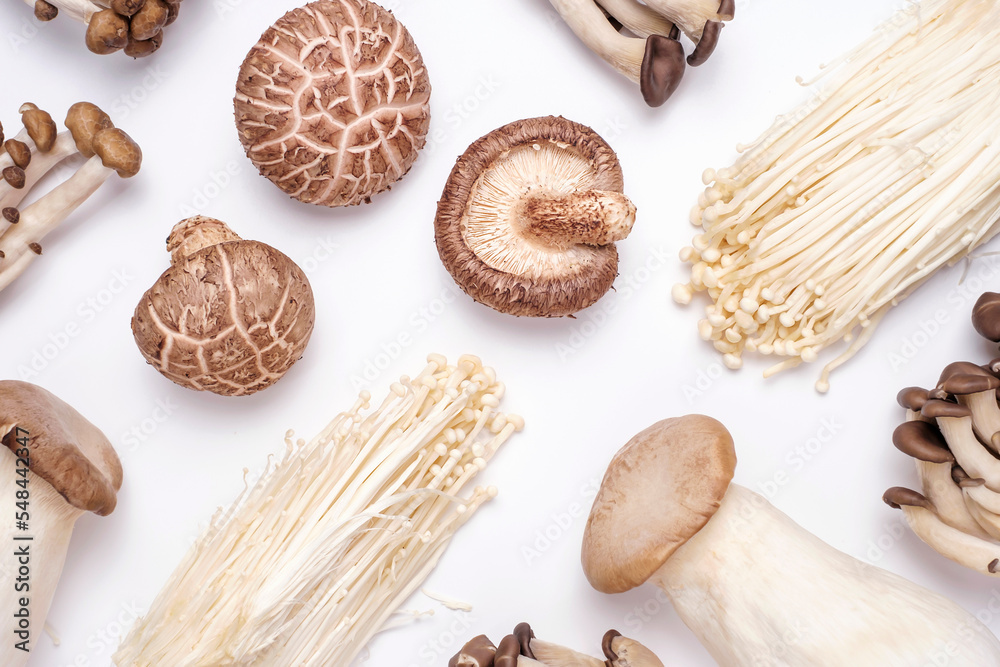 Flat lay of different edible mushrooms on white background close-up. Flat lay of different edible mushrooms on white background close-up.