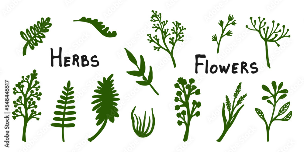 Set of Herbs and Flowers. Isolated Plant elements for your design. Vector illustration.
